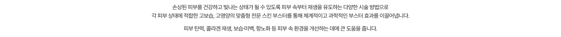 스킨부스터