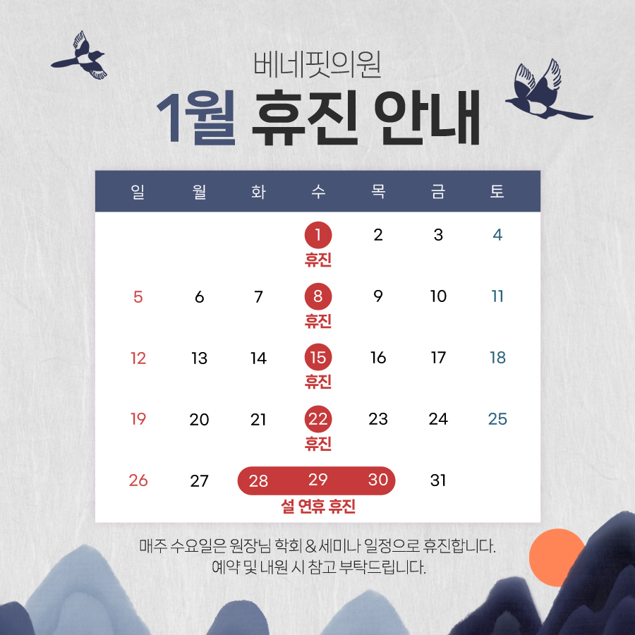 12월 진료안내